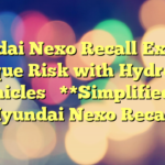 Hyundai Nexo Recall Exposes Unique Risk with Hydrogen Vehicles 

**Simplified:**

Hyundai Nexo Recall