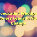 Red-cockaded Woodpecker Recovery Leads to Status Change