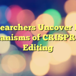 Researchers Uncover Key Mechanisms of CRISPR Gene Editing