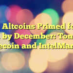 Top 3 Altcoins Primed for 15x Gain by December: Toncoin, Dogecoin and IntelMarkets