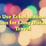 Bats Use Echolocation and Vision for Long Distance Travel