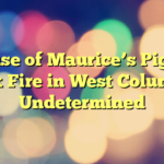 Cause of Maurice’s Piggie Park Fire in West Columbia Undetermined