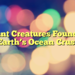 Giant Creatures Found in Earth’s Ocean Crust