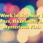 This Week in Science: Water on Mars, Hazelnuts, and a Mysterious Fish