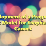 Development of a Prognostic Risk Model for Esophageal Cancer
