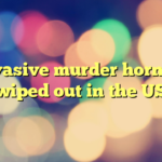 Invasive murder hornets wiped out in the US