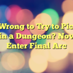 Is It Wrong to Try to Pick Up Girls in a Dungeon? Novels to Enter Final Arc